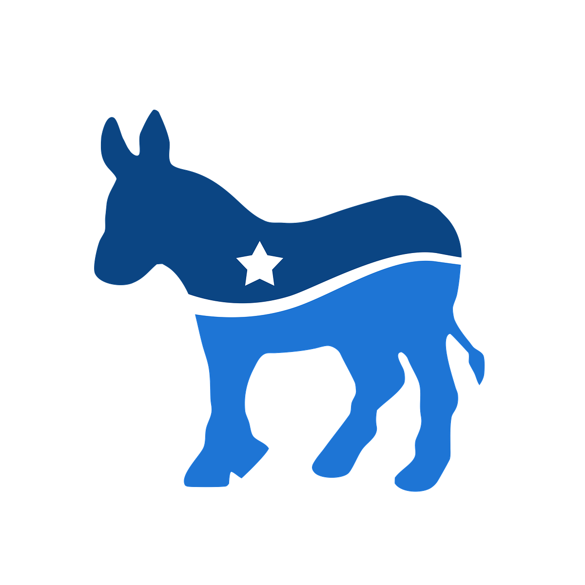 Town of Newburgh Democratic Committee — Profile Image