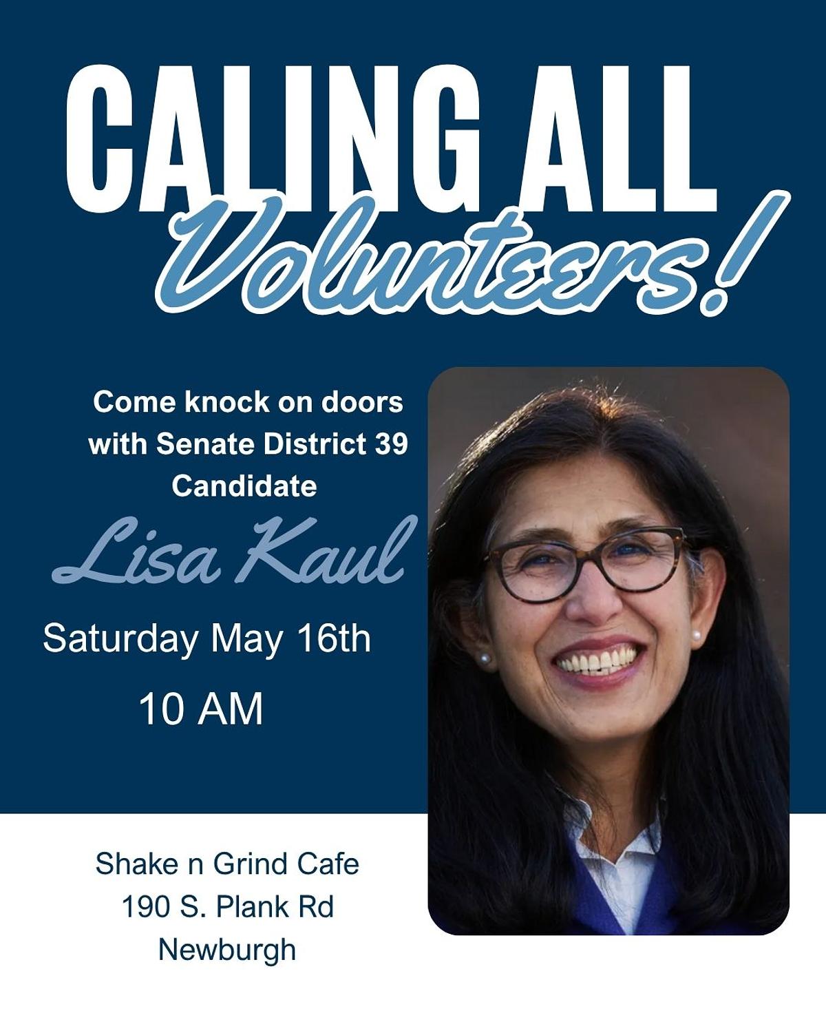 Lisa Kaul Canvassing